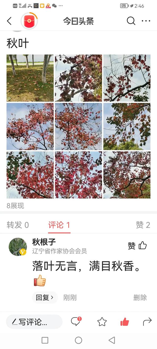 网络流行语抢沙发是什么意思，抢沙发的网络用语