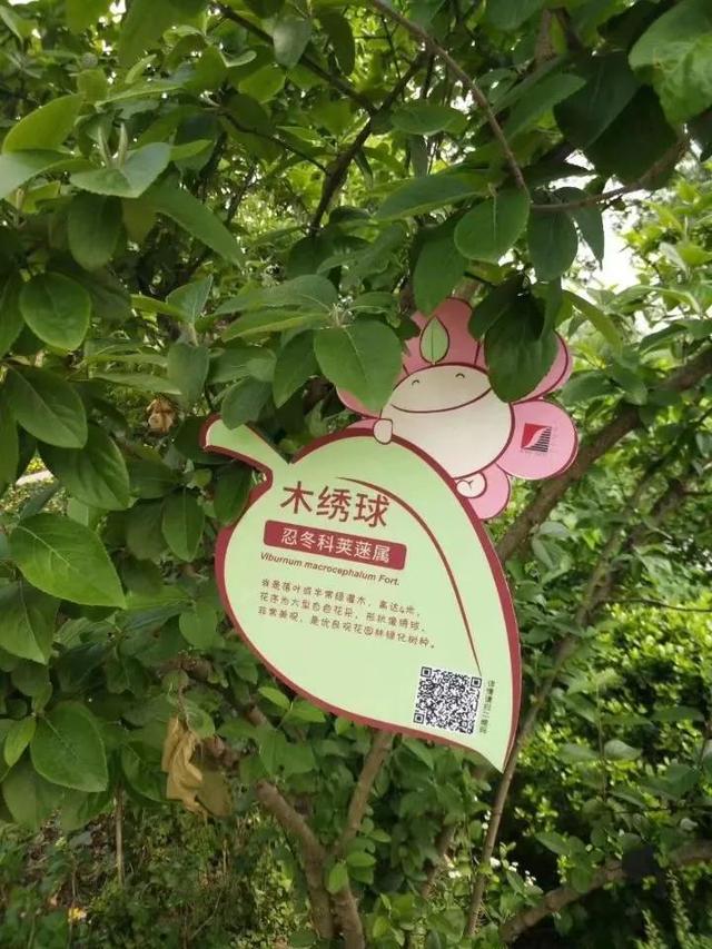 花名男生两个字威猛（花名男生两个字植物）