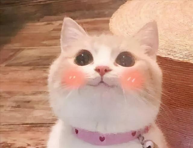 剪辑师软件最基础的三个功能（剪辑师软件怎么剪辑视频）