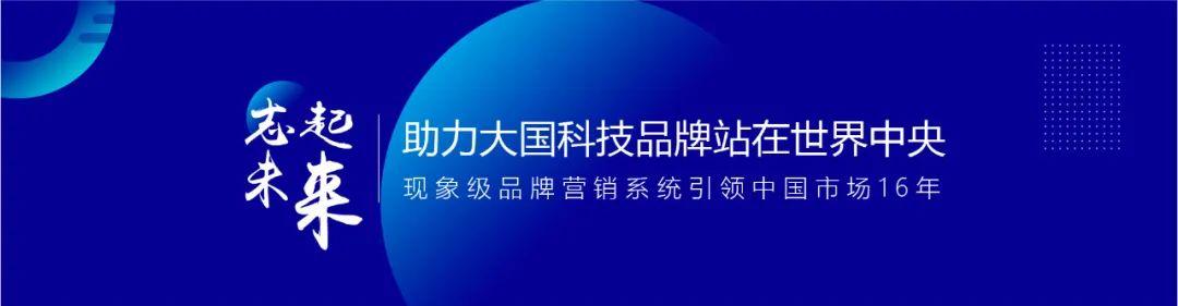 中国十大咨询公司是哪些（中国十大咨询公司排名）