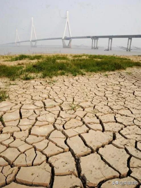 我国四大淡水湖上海（我国四大淡水湖分别在哪里）