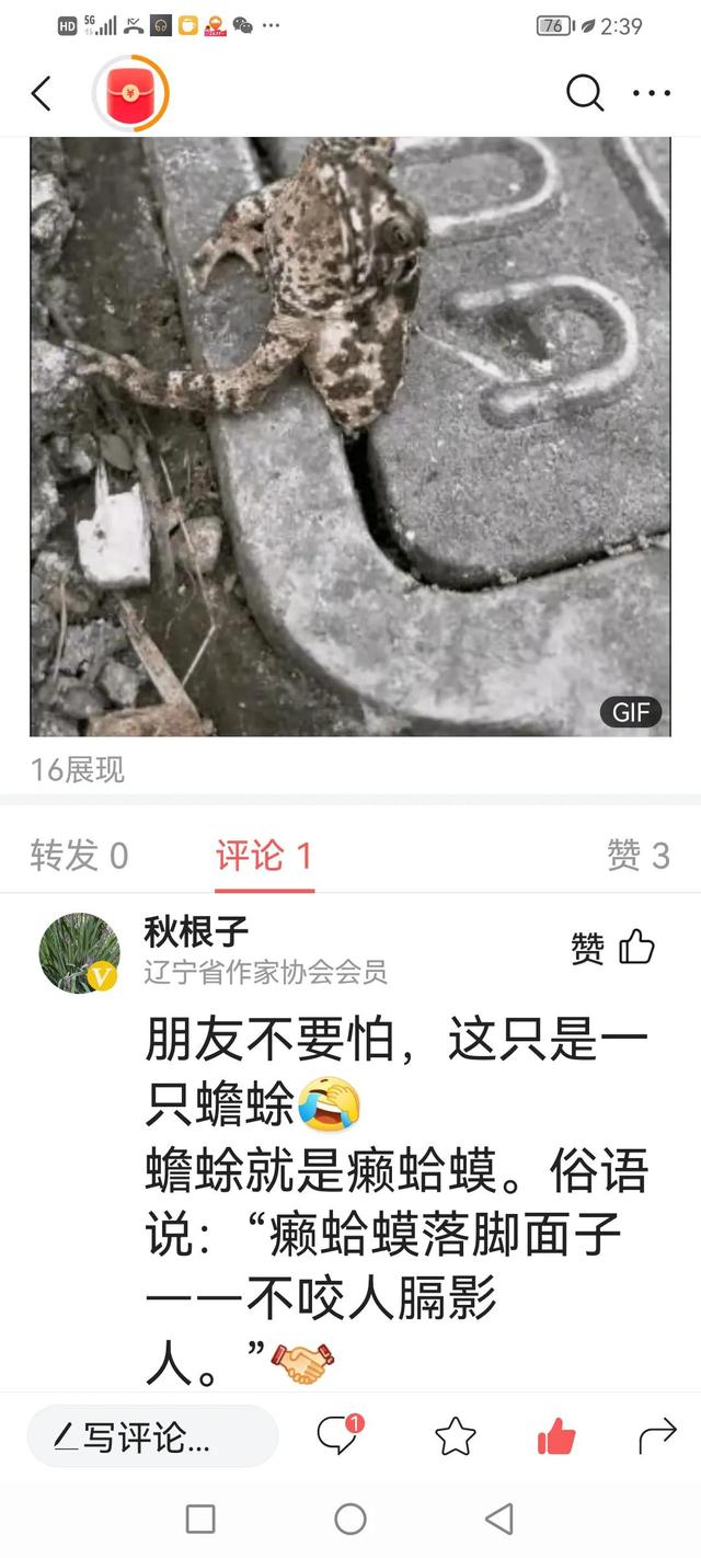 网络流行语抢沙发是什么意思，抢沙发的网络用语