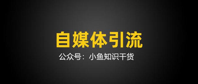 有什么软件可以引流的（有没有什么好的引流软件）