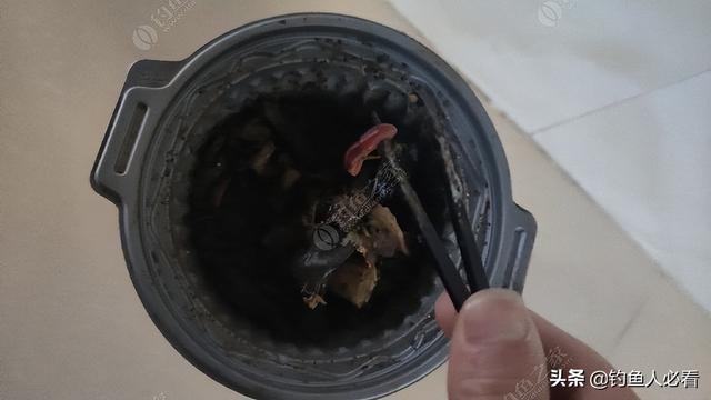 如何养蚯蚓(塑料瓶)（家庭如何养蚯蚓）
