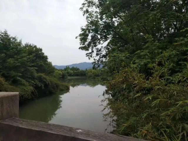花名男生两个字威猛（花名男生两个字植物）