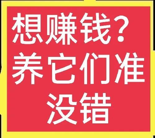 养殖项目合作，养殖项目合作国家扶持？